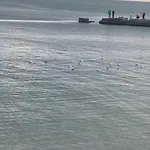 Zolotoj Bereg * Οδησσός